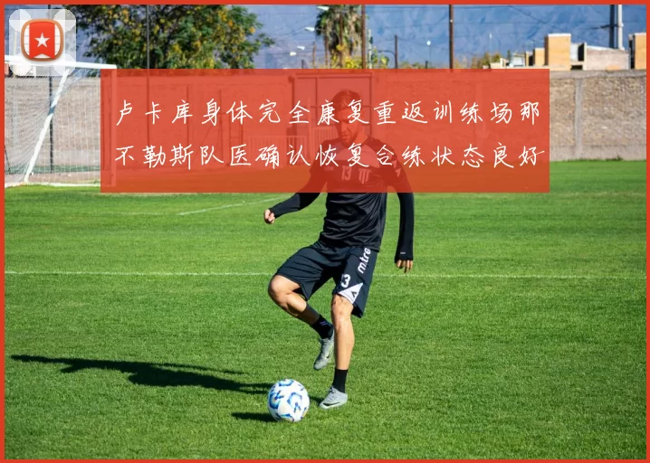 卢卡库身体完全康复重返训练场那不勒斯队医确认恢复合练状态良好